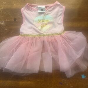 Dog Vibrant Pink & Gold 'Dream Girl' Tulle Dance Costume